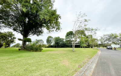 Lote Monteran – Granadilla